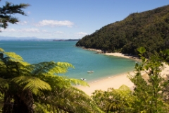 Abel Tasman nach Picton